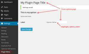 Plugin Options Page