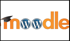 woodle moodle wordpress feature 3