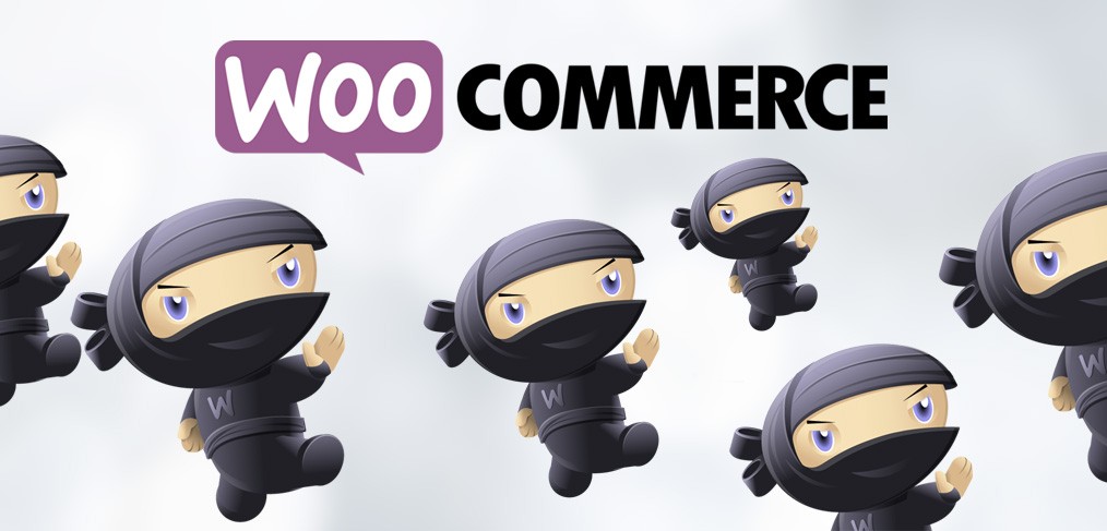 Woo Commerce Feature Image1 1014x487 3