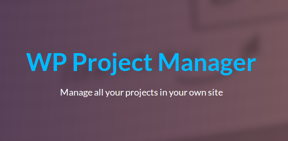 wp project manager pro feature 3