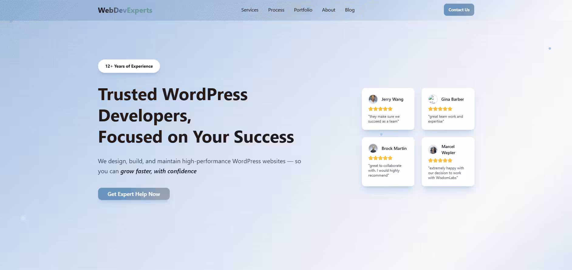 webdevexpert screenshot